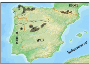 The Iberian Peninsula DNA Ethnicity