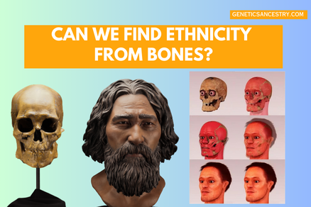 can you find ethnicity from bones?