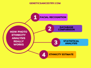 how photo ethnicity really works
