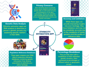 ethncity estimation app 