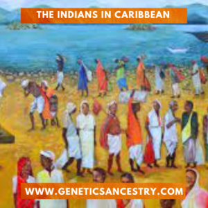 Indians in caribbean