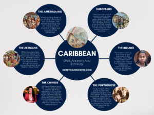caribbean ethnicity ancestry and Dna