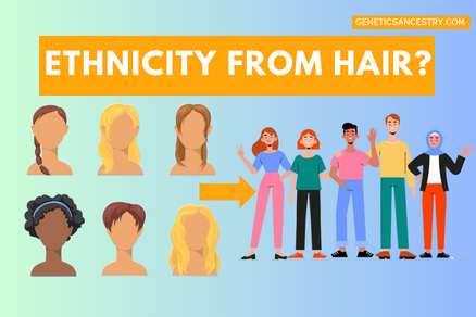 find ethnicity from hairs