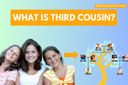 WHAT IS THIRD COUSIN