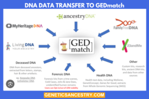 DNA Data transfer to GEDmatch