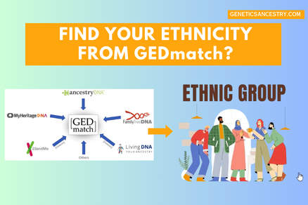 Find your ethnicity from GEDmatch?