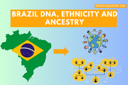 brazil dna, ethnicity, ancestry