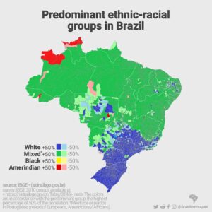 brazil ethnic percentage