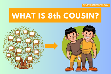 WHAT IS EIGHT COUSIN