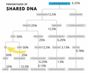 shared DNA
