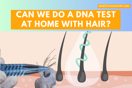 DNA Test At home with hair