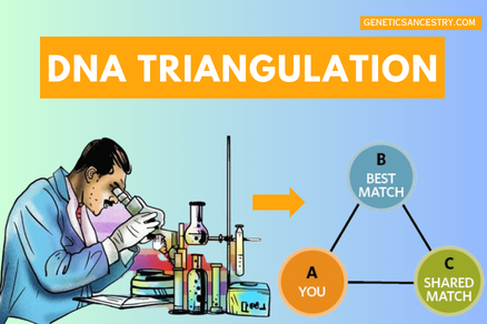 DNA Triangulation
