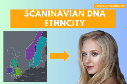 Scandinavian DNA ethnicity