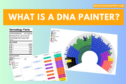 DNA Painter