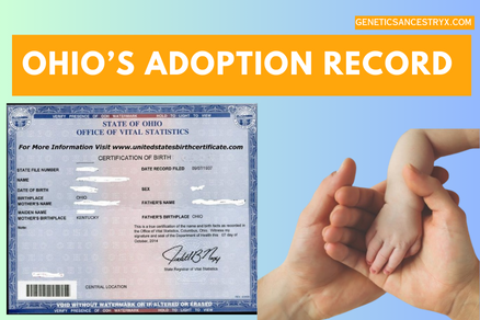 ohio's adoption record